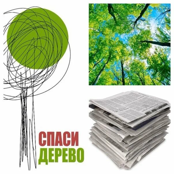 Собери макулатуру сохрани дерево. Спаси дерево. сбор макулатуры. спасем деревья сбор макулатуры. плакат по сбору макулатуры.