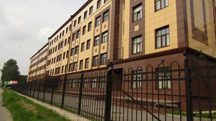 Спбгмпу. Санкт-Петербургский государственный педиатрический университет. Институт педиатрии Санкт-Петербург. Педиатрический университет на литовской 2 а. Питер педиатрический медицинский университет.