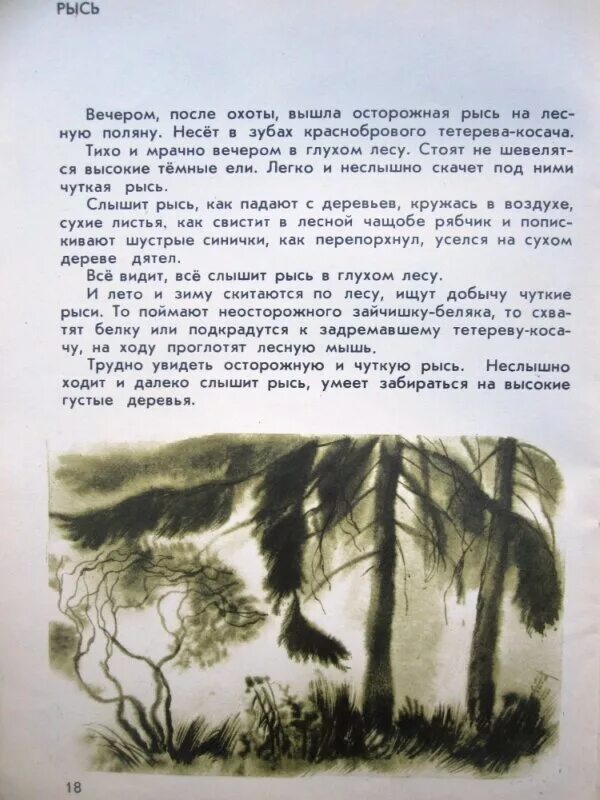 Рассказы это было в лесу. Рассказы это было в лесу