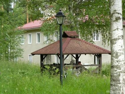 Добрый лось ленинградская область