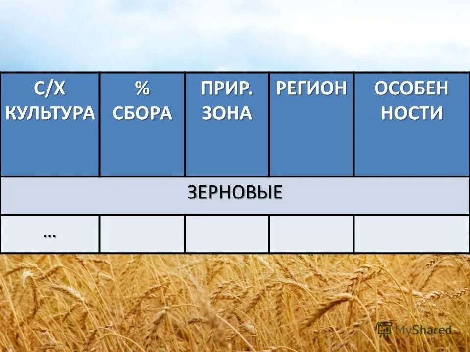Сбор х. Плантации чая в китае. Сбор урожая в колхозе. Сбор х. Бахча с арбузами в астрахани.