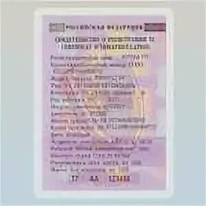 Размеры стс автомобиля. Свидетельство о регистрации транспортного средства. стс автомобиля фото. стс старого и нового образца. размеры стс автомобиля в сантиметрах.