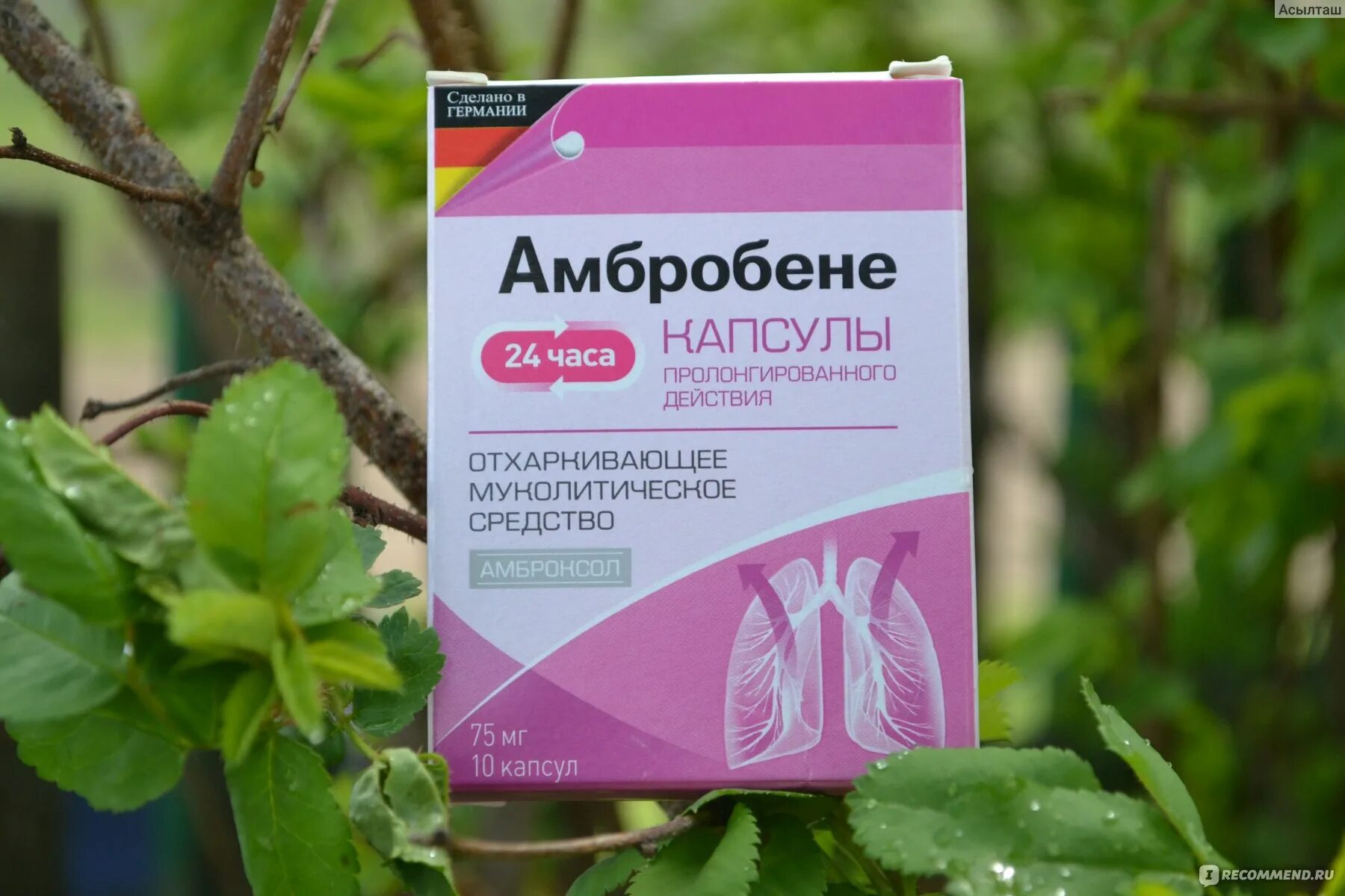 Амбробене от какого кашля сухого или. Капсулы от кашля амбробене. амбробене амброксол капсулы пролонгированного. амбробене при сухом. амбробене для сухого кашля.