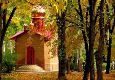 Торез центр