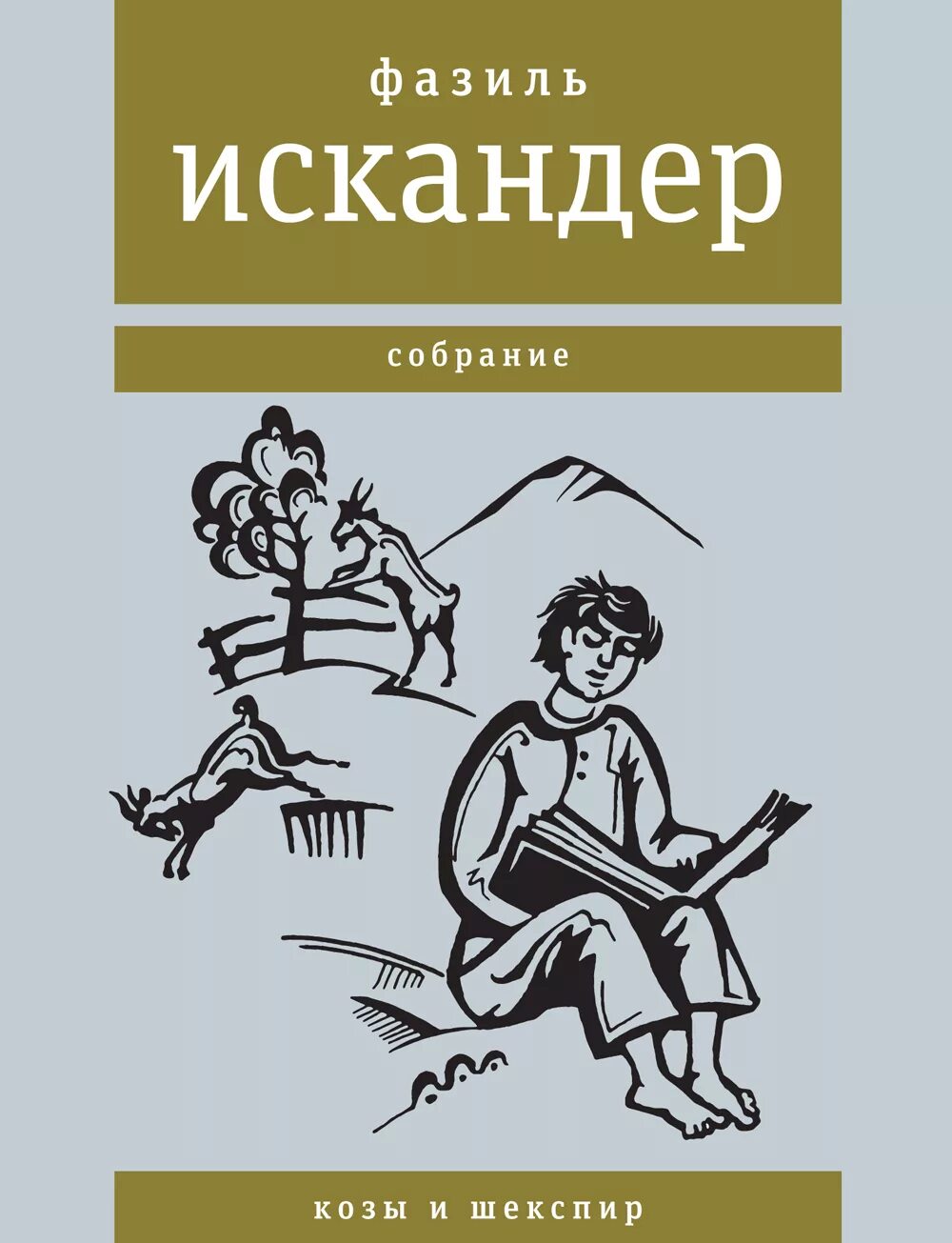 Произведения искандера 6 класс