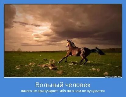 Которые не зависят ни от