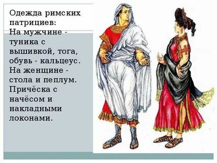 Характеристика патрициев