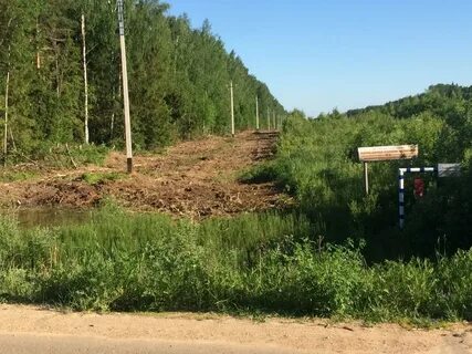 Расчистка трасс