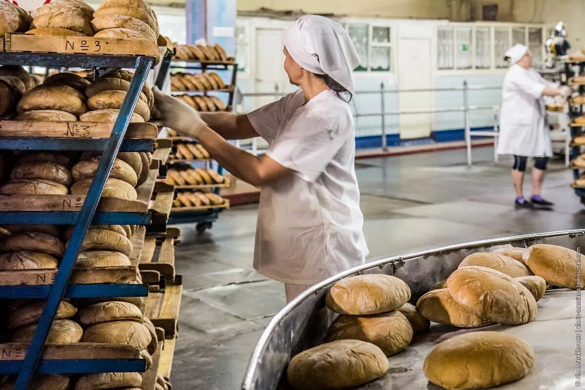 Ульяновский хлебозавод 3. Хлеб пекарня. Пекарня пекут хлеб. Выпечка хлеба на хлебозаводе.