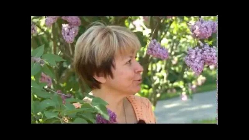 Дачная академия загородная жизнь 2021. Веранда на берегу озера. Дачная экспертиза на канале загородная жизнь. Загородная жизнь телеканал ландшафтные хитрости. Загородная жизнь ведущие.