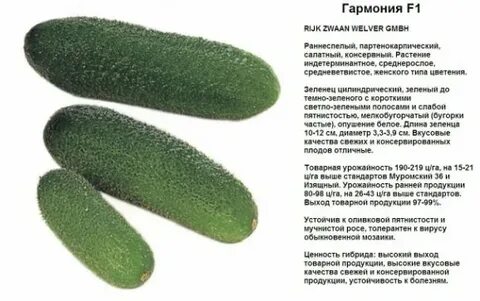Укажите сорта