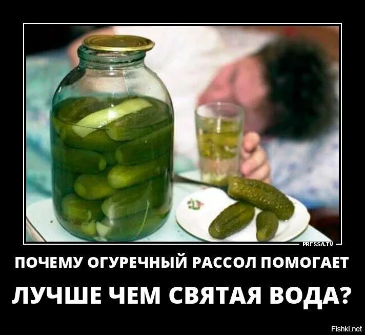 Огурец от похмелья. Огурец в банке прикол. соленые огурцы прикол. похмелье приколы. открытки с похмелья.