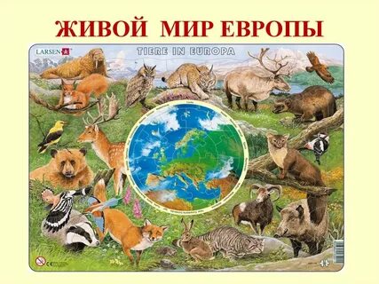 Животный мир европы