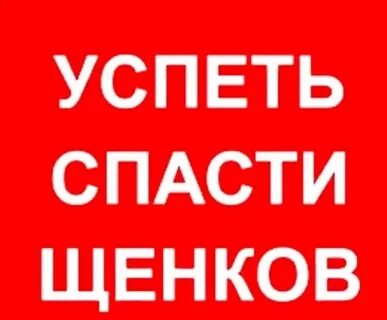 Не поможет вам спасти