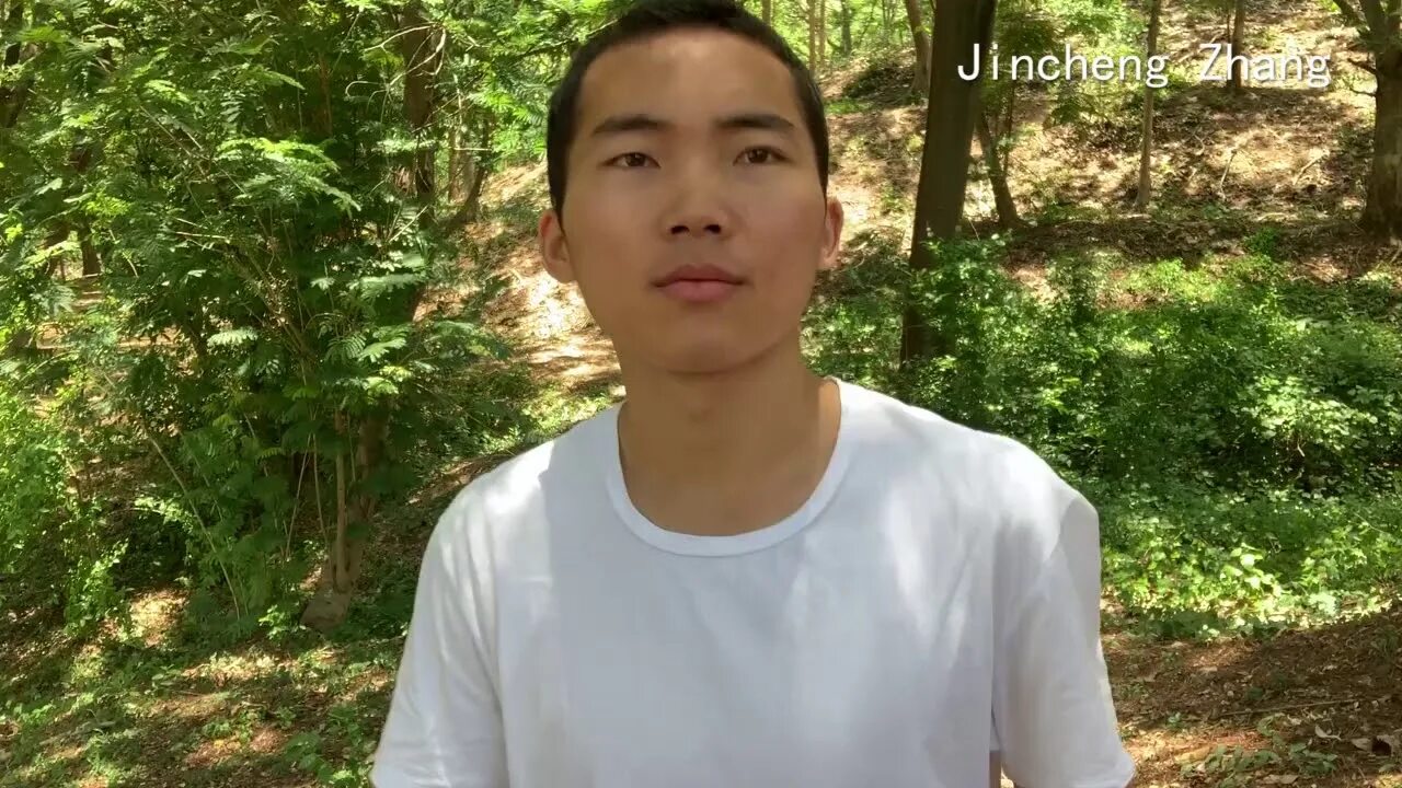 Jincheng zhang фото. Jincheng zhang. Oneself jincheng zhang. Atom jincheng zhang. Jincheng zhang - examine i love you.