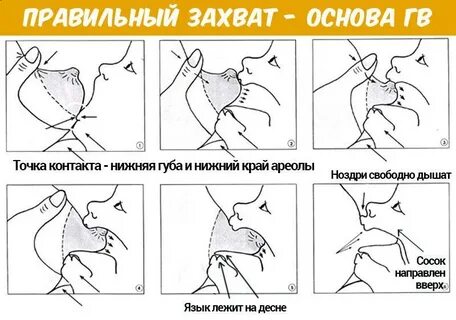 Пирог на гв