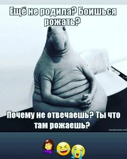 Она не рождена