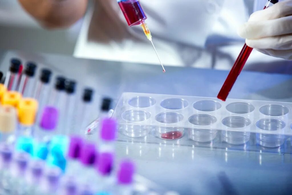 Гематологические заболевания. Клетки голубой крови. Эритроциты. Кровь тромбоциты в сосуде. Гематология анемии.