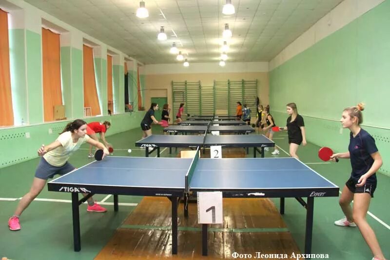 Детский волейбол курган. Дюсш 3 курган. Дюсш 3. Дюсш 2 курган баскетбол. Баскетбол курган соревнования.