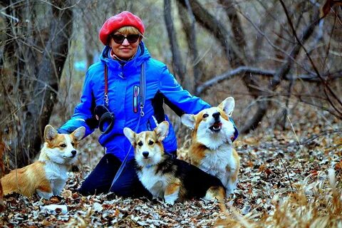 Воспитание у женщин и собак