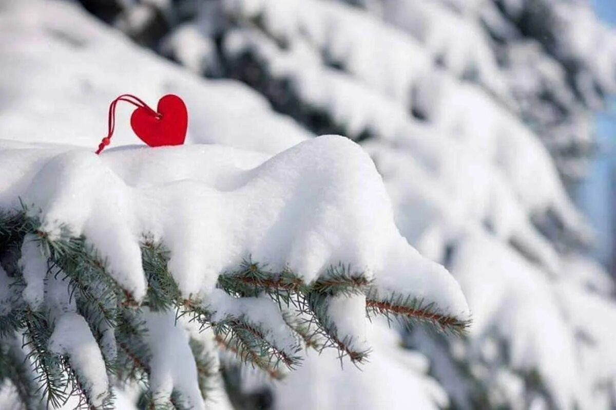 Зама сердце. Сердце на снегу. Сердечко на снегу. Зимнее сердечко. Сердце зимой.