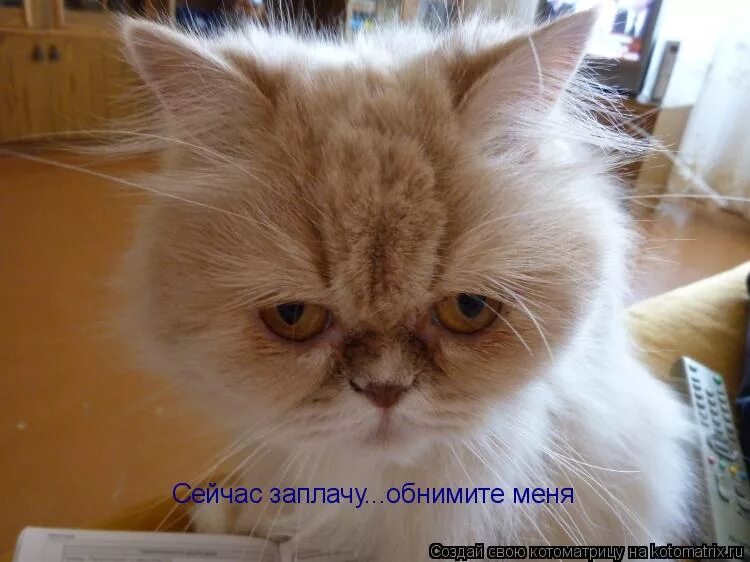 не плачь картинки. я мужик я не буду плакать мем. я тоже сейчас плачу. я тоже сейчас плачу. мем мне не платят.