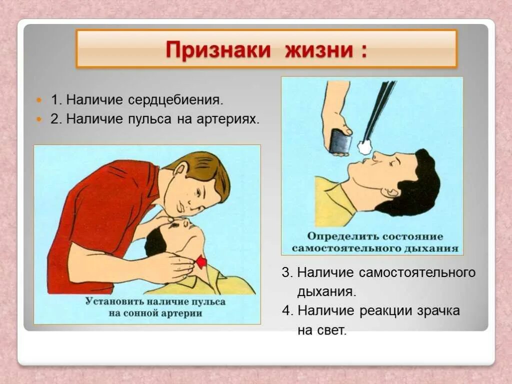 Что относится к признакам жизни пострадавшего. Признаки жизни у пострадавшего. Определение признаков жизни. Оценка признаков жизни у пострадавшего. Признаки жизни при оказании первой помощи.