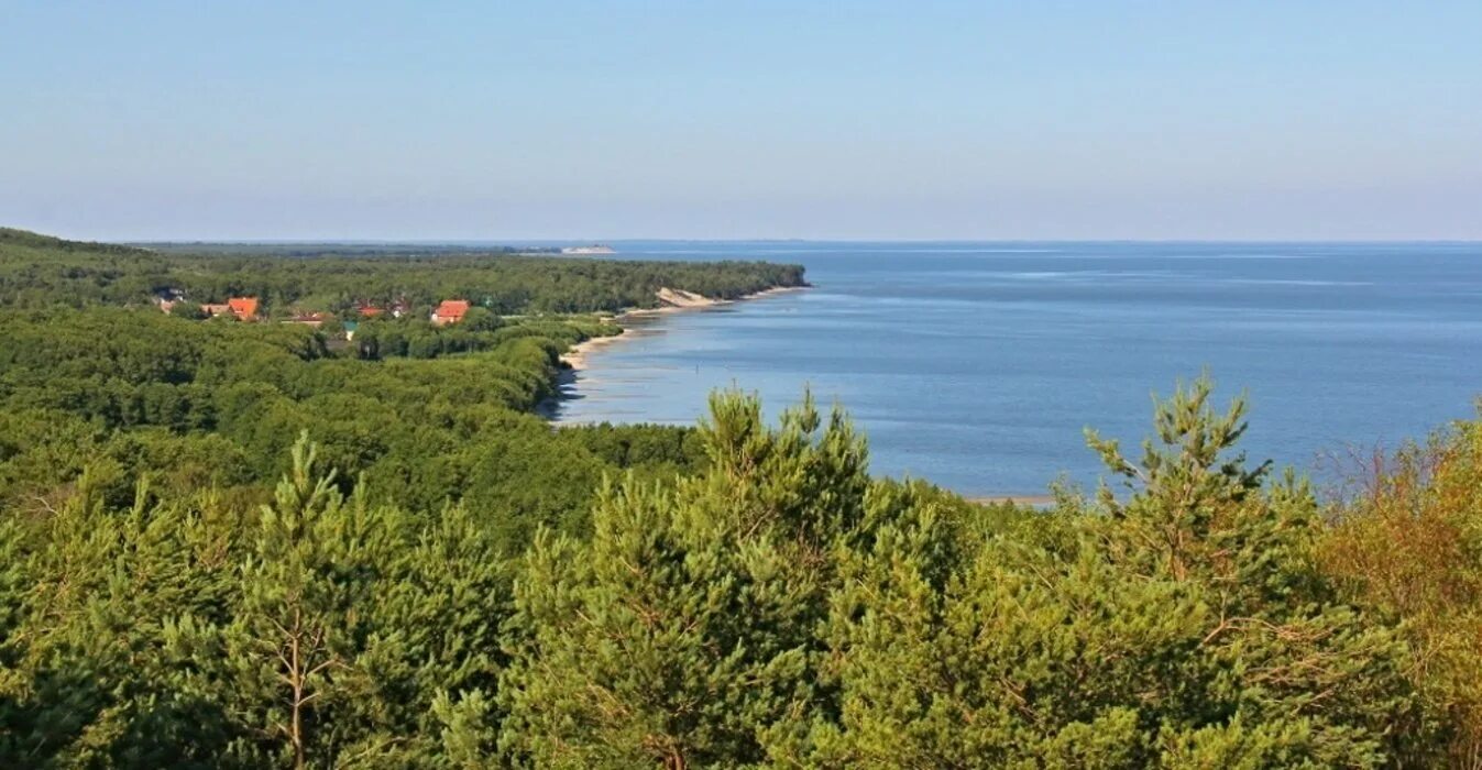 Экскурсия на куршскую косу из зеленоградска. Зеленоградск экскурсии на куршскую косу. Дюна эфа калининград. Куршская коса экскурсии из светлогорска. Зеленоградск куршская коса.