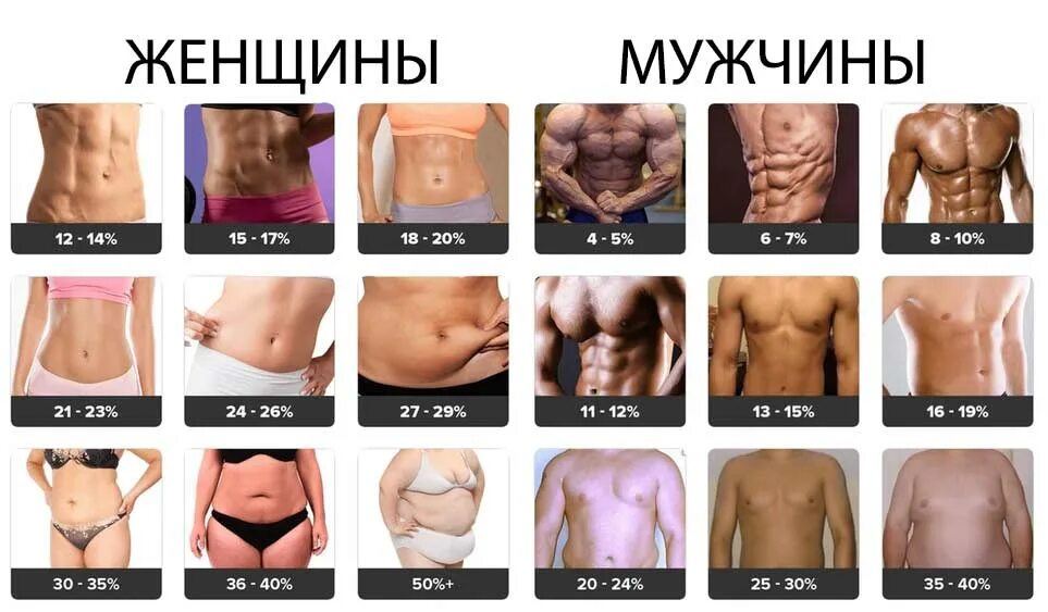Процент жира калькулятор. Как выглядит процент жира в организме. 20 процентов подкожного жира. процент жировой ткани. процент жира 32.3%.