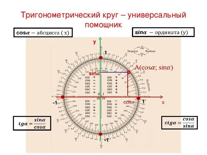 Тригонометрическая окружность -2pi. Тригонометрический круг ось синусов. Единичная окружность тригонометрия со значениями. Таблица значения косинусов и синусов по кругу.