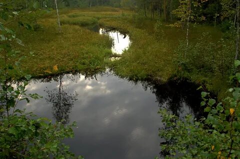 Красный исток
