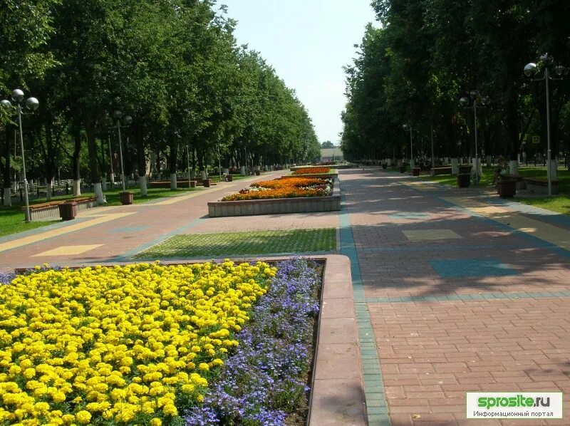 Городок жуковский вконтакте. Жуковский город сквер. Жуковский сквер Маяковского. Сквер ул Маяковского Жуковский. Жуковский Бродвей.