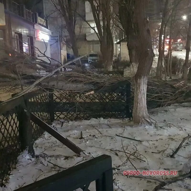 Сравните три ситуации ураганный ветер валит. Норд-ост в новороссийске 2023. Сильный ветер и провода. Завтра будет ветер ломать деревья орел ураганный ветер. Валим спб.