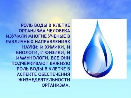 Присутствовавшая вода