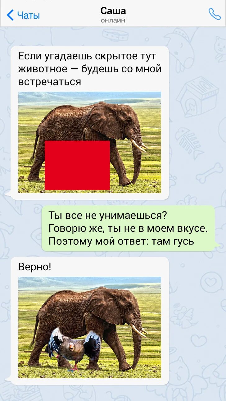 А что не угадаешь. Животные угадать. если угадаешь животное то. угадай животное. если ты отгадаешь что за животное.