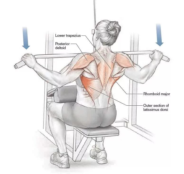 Ромбовидная мышца спины упражнения. Тяга вертикального блока Хаммер. Тяга горизонтального блока широкой рукояткой. Техника тяги верхнего блока широким хватом. Тяга верхнего блока к груди широким хватом.