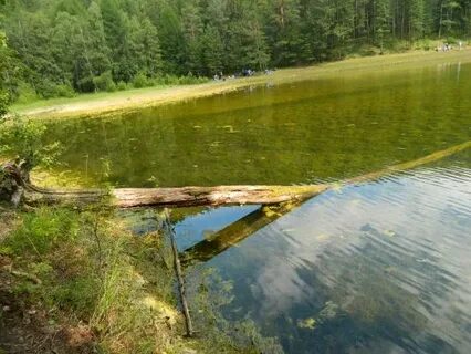 Сухое озеро дорога