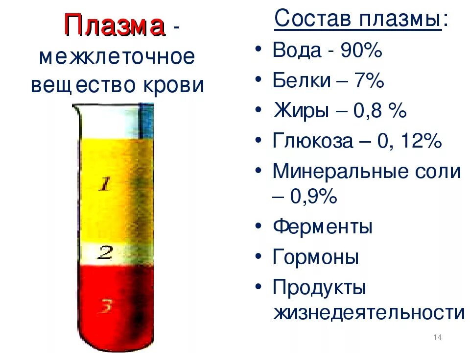 Форма плазмы крови