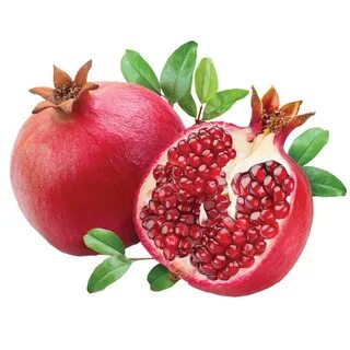 Граната белая фрукт
