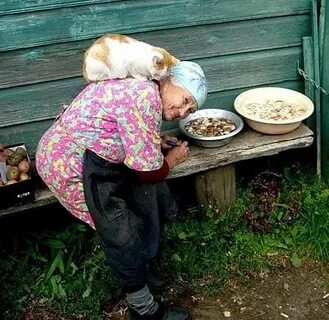 Едим к бабушке в деревню