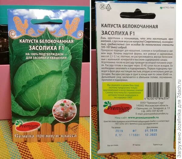редис 15 дней (премиум сидс). премиум сидс семена интернет магазин. семена чиа в пачке. премиум сидс семена логотип. патиссон копейка (премиум сидс).