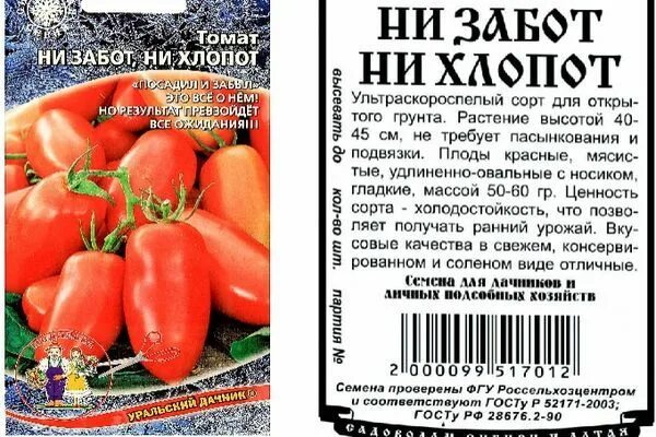 Томат чудо лентяйка. Сорта томатов таймыр. Помидоры лентяйка. Томаты лентяйка отзывы фото урожайность. Томат сорт мечта лентяя.