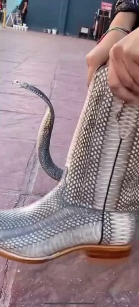 Смешная обувь. Сапоги со змейкой. Сапоги змеи. Skin boots. Ботас пикудас.