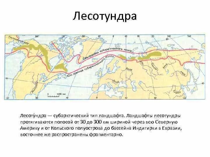 Тундра и лесотундра географическое положение в России на карте. Географическое положение лесотундры в России на карте. Географическое положение зоны лесотундры в России. Лесотундра географическое положение на карте.