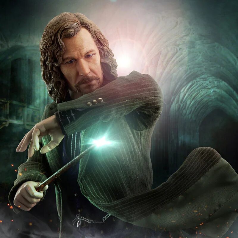 сириус блэк. сириус персонаж. сириус блэк олдман. сириус блэк. сириус блэк.