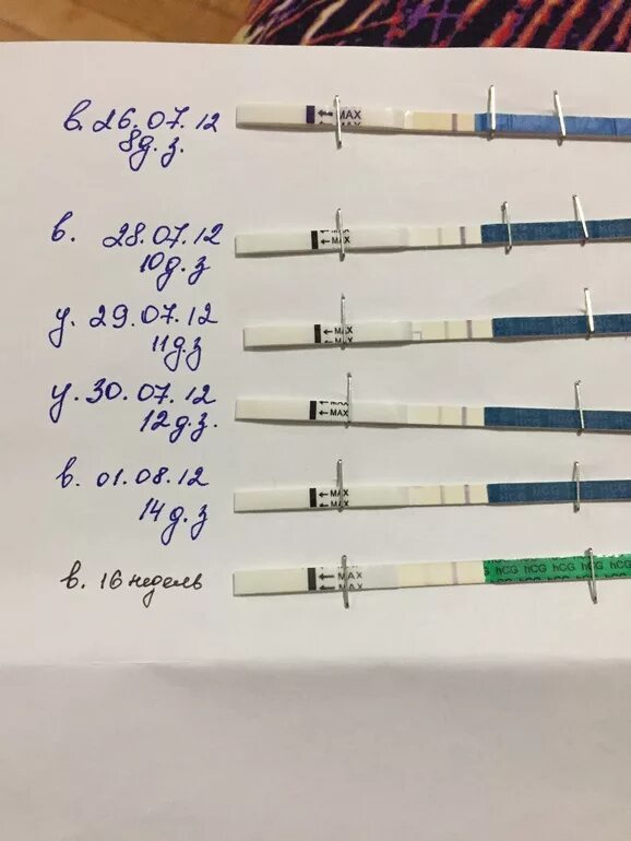 Задерживается на 4 дня. Тест в первый день задержки. 1 День задержки тест. Тест на 2 день задержки. 1 День до задержки тест.