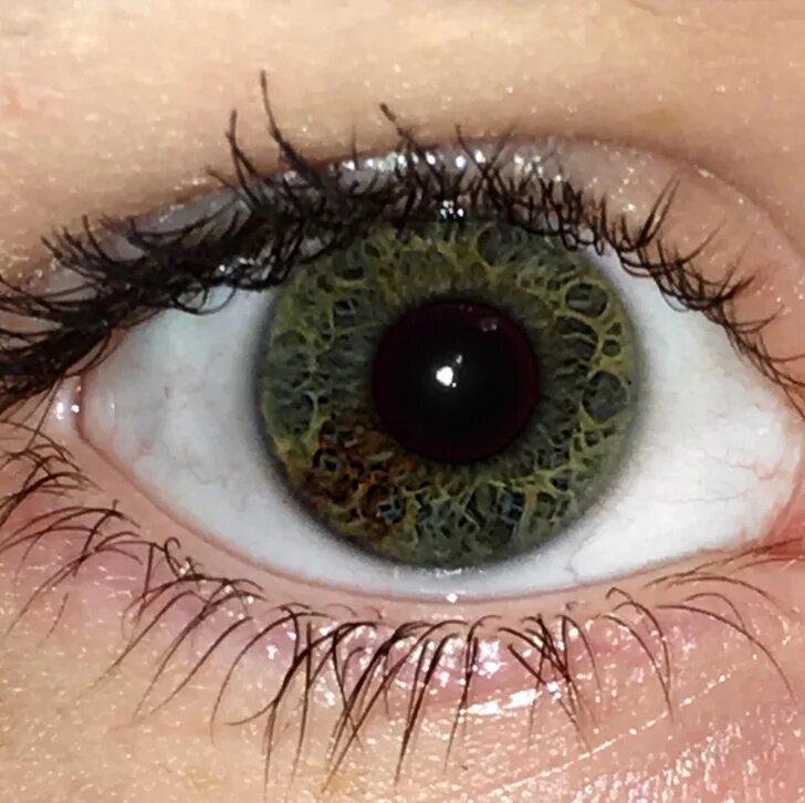 Файл:Human-eye-color-green.png - Вікіпедія