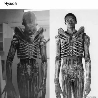 Чужой роли
