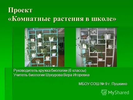 Измерение комнатных растений биология 5