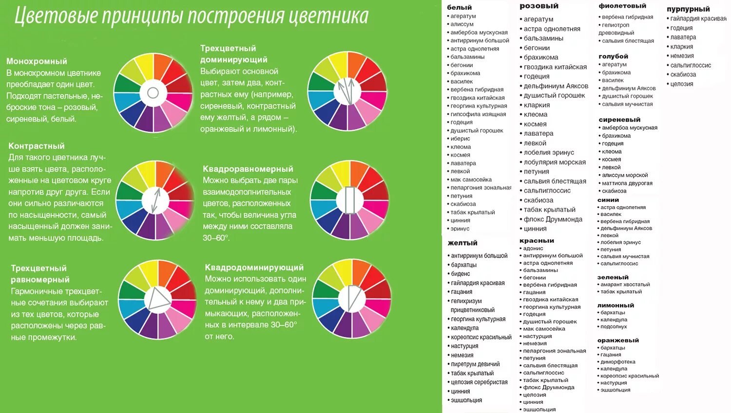 Какой цвет доминирующий. Колористика цветника. цветовые принципы построения цветника. цветовой круг для цветников. сочетание цветов на клумбе таблица.